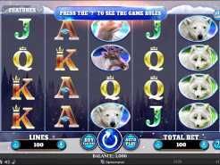 Wild Penguin Slots